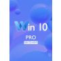 Win 10 Pro- 100 Keys