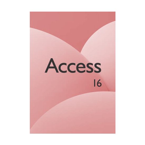 16 Pro Access Key (1 PC)