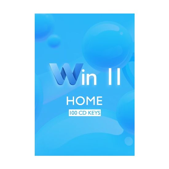 Win 11 Home - 100 Keys