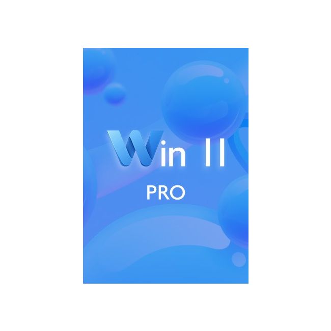 Win 11 Pro CD-KEY
