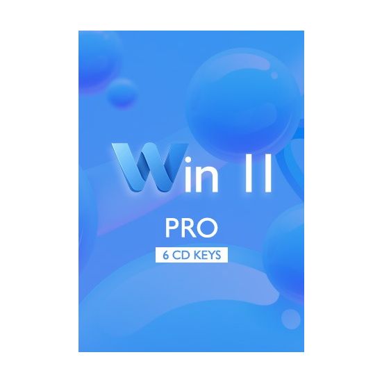 Win 11 Pro - 6 Keys